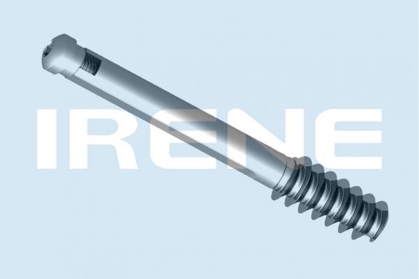 DHS / DCS Lag Screw