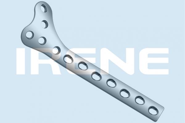 Distal Femoral Condylar Buttress Plate
